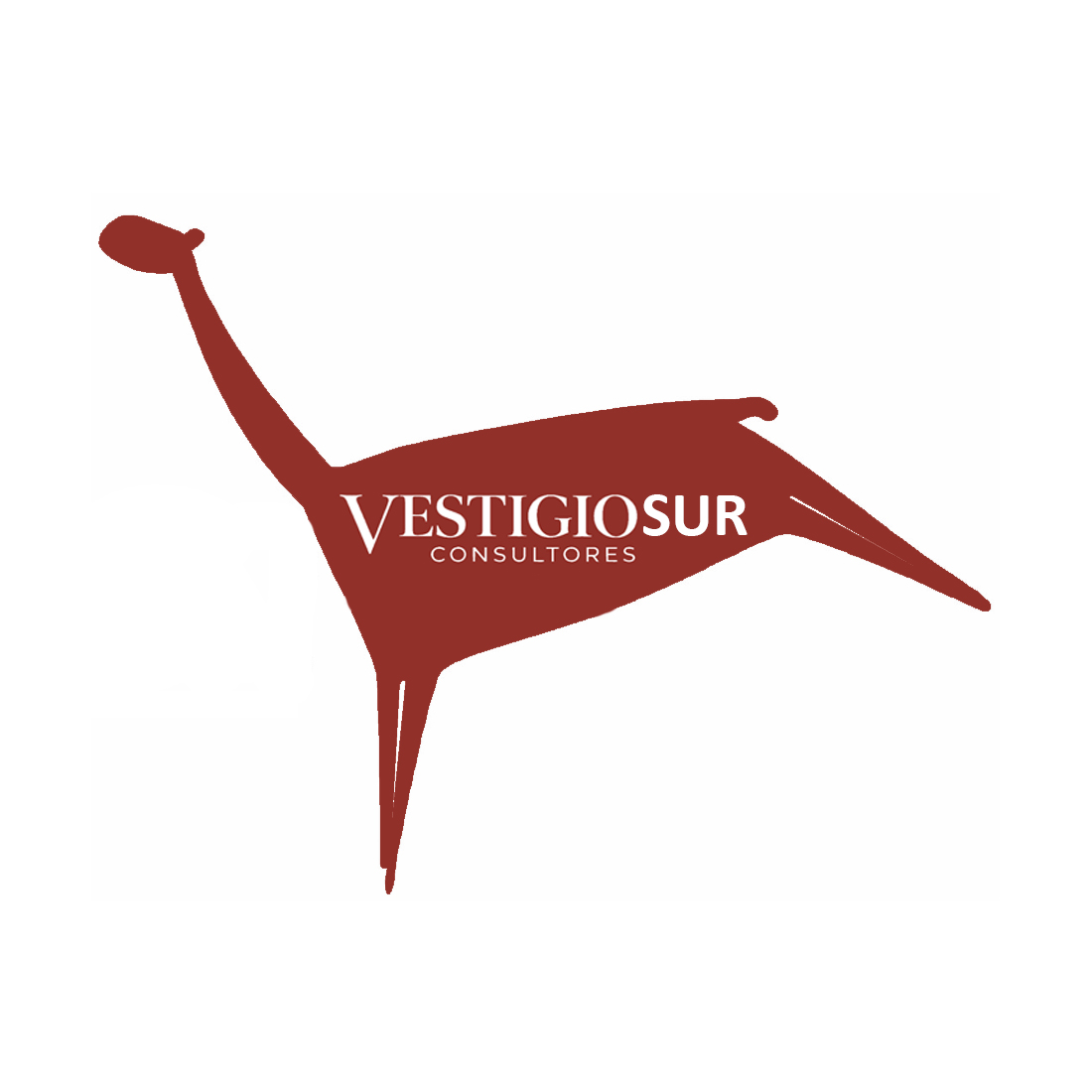 Vestigio Sur Consultores
